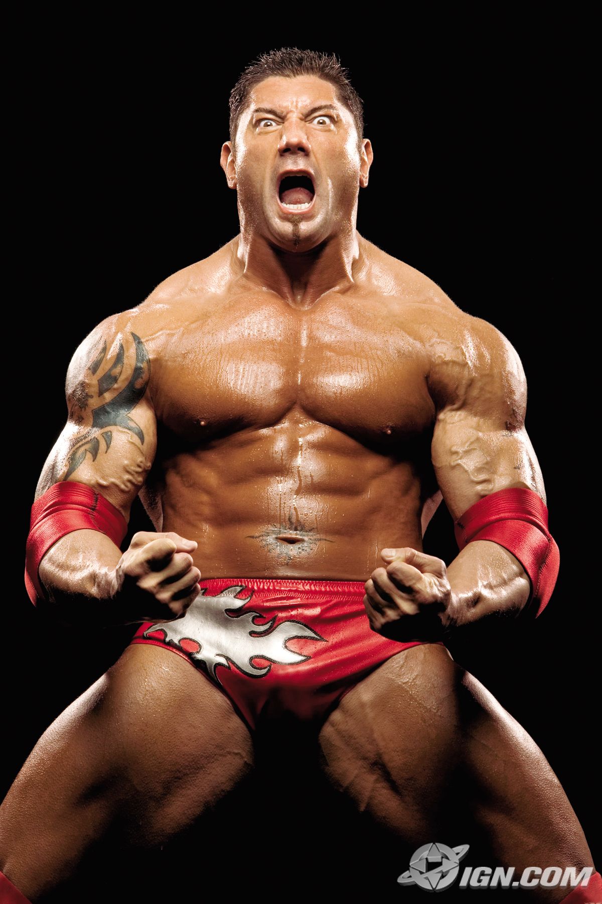 Batista The Animal